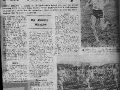 section-1-pages_page_231