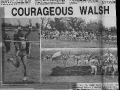section-1-pages_page_239
