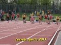tn_img_7081