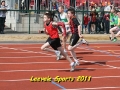 tn_img_7029