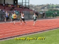 tn_img_7618