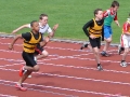 adam-thomas