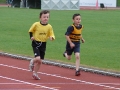 bu11-300m2