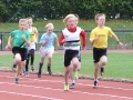 bu12-300m